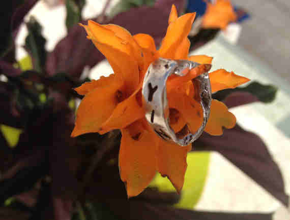 Disconnected ring (pure silver)