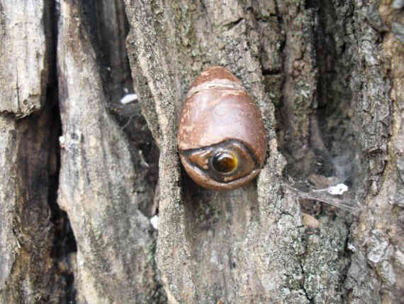 Egg shaped pendant with tiger's eye (clay)