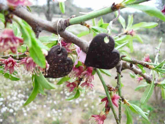 Heart shaped earrings (coconut)