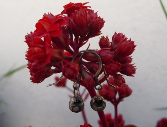 Meteorite earrings with natural citrine (oxidized pure silver)