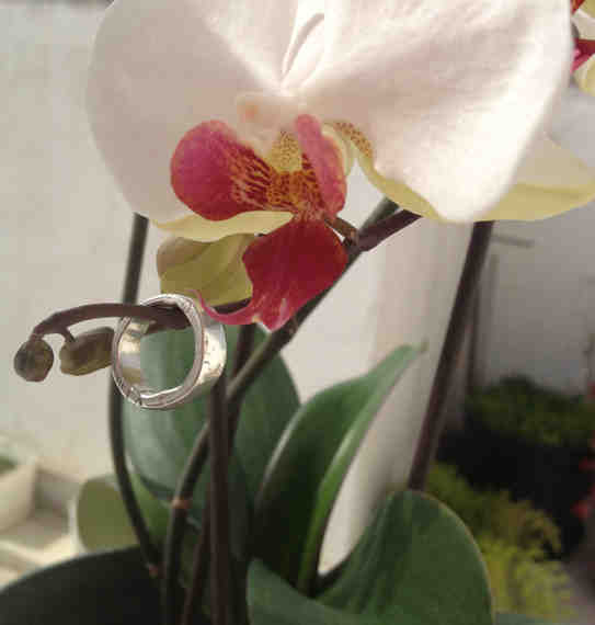 Moon skin ring (pure silver)