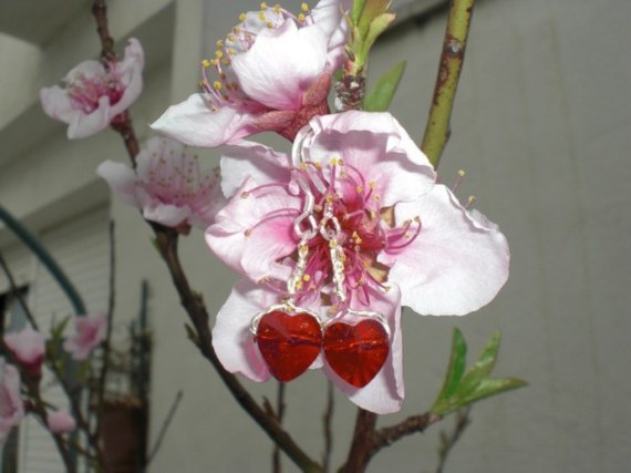 Swarovski crystal heart earrings (sterling silver)